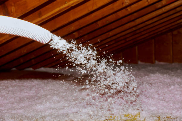 Best Insulation Contractors for Homes  in North Weeki Wachee, FL