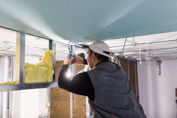 Best Energy-efficient Insulation  in North Weeki Wachee, FL