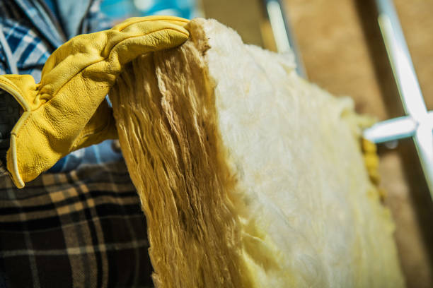 Best Spray Foam Insulation  in North Weeki Wachee, FL