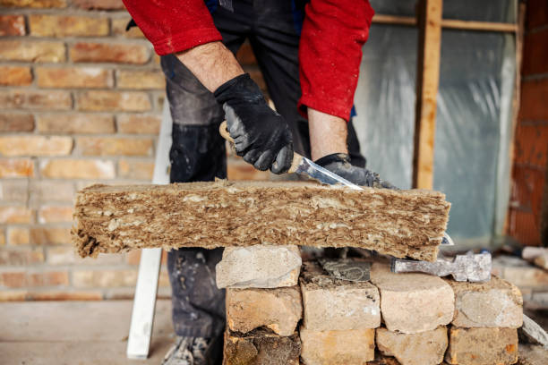Best Insulation Removal  in North Weeki Wachee, FL