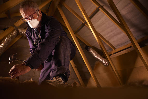 Best Local Insulation Services  in North Weeki Wachee, FL